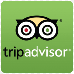 png-transparent-green-grass-owl-logo-baggage-tripadvisor-beak-bag-tag-travel-thumbnail